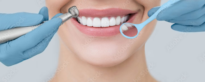 Focus Dental